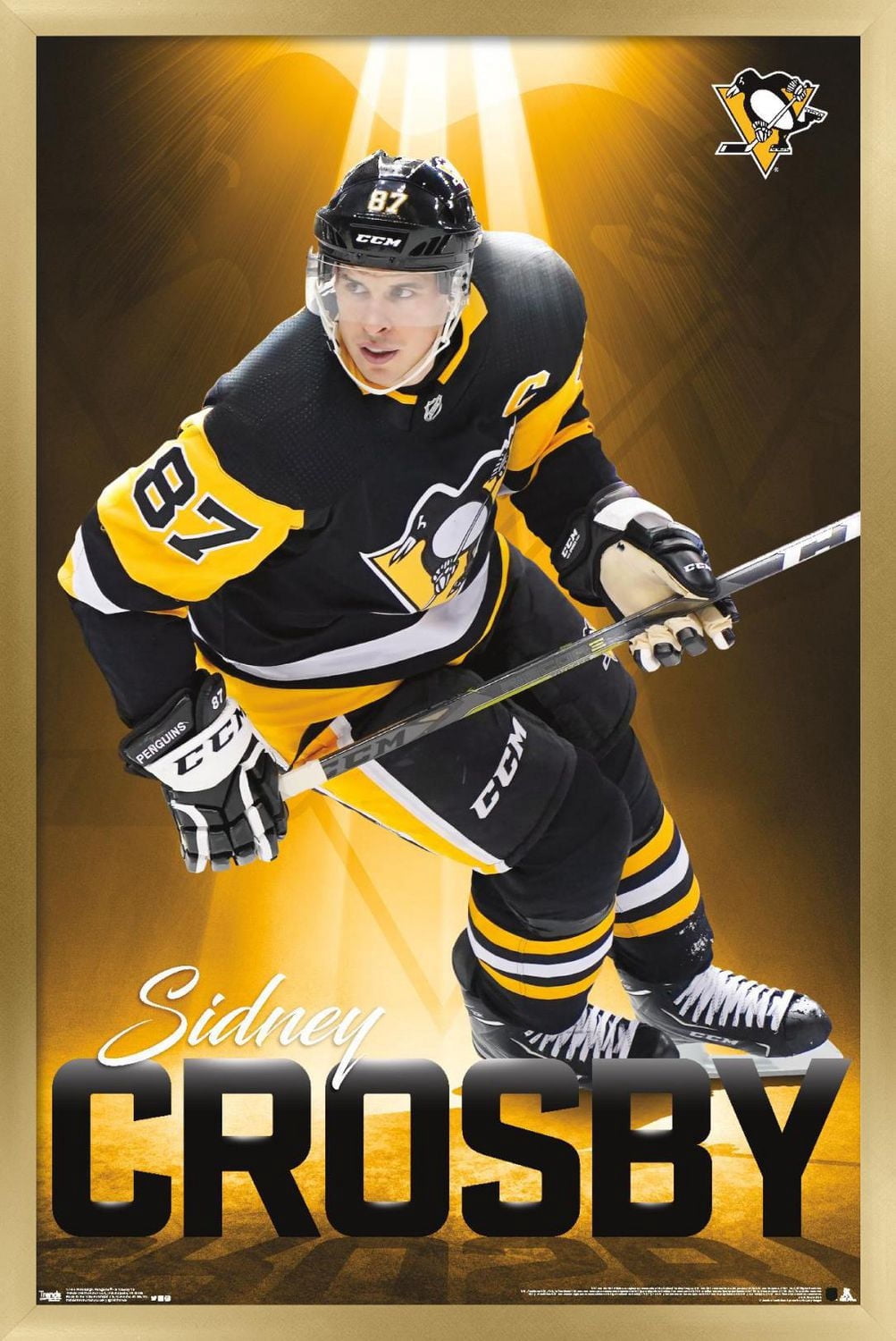 NHL Pittsburgh Penguins - Sidney Crosby 18 Wall Poster