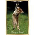 thumbnail image 1 of Célèbre chaton accroché là-bas Poster, 1 of 5