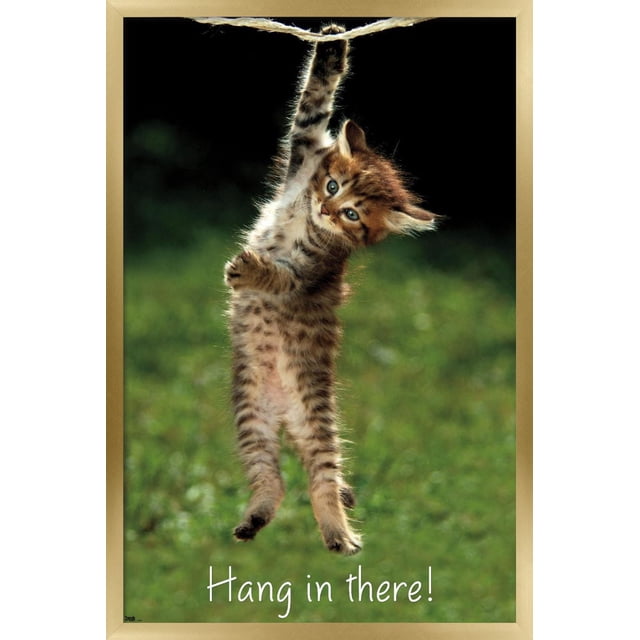 Famous Kitten Affiche Murale « Hang In There », 22,375 Po x 34 Po, Montrant un Chaton Brun « tabby » Suspendu d'Une Patte à une Corde sur un Fond Vert Flou avec la phrase « Hang In There! » en Texte Blanc, Imprimée sur du Papier d'Affiche Lustré, Convient à la Décoration Murale de la Maison et du Bureau.