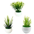 thumbnail image 1 of SIfdSeng Get it Fast 3 Mini Indoor Green Small Bonsai Potted Potted Green Home Decoration, 1 of 9