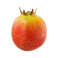 thumbnail image 4 of MYG Artificial Fruits Simulated Plastic Fruit Model Decoration For Home Kitchen Tabletop Decor Kids Toy Orange Peach Pear Watermelon, 4 of 10