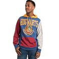 thumbnail image 2 of Bioworld Harry Potter Varsity Hogwarts Adult Graphic Hoodie Multicolored, 2 of 7
