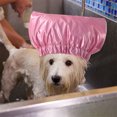thumbnail image 4 of CBFFDC Chapeau de Bain Élastique pour Animaux de Compagnie Imperméable Attache Ajustable Protection des Oreilles Confortable pour le Toilettage des Animaux, 4 of 7
