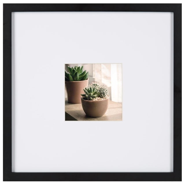 hometrends Gallery Black Picture Frame featuring a black frame with a white mat holding a 5x5 inch photo of two potted succulents on a wooden surface near a sunlit window, including a glass lens for protection and attached wall hangers, suitable for home or office décor and often used to display small plant photography.