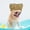 GDS, variant on TopLLC Shower Cap Shower Cap Dog Shower Cap Shower Cap For