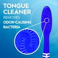 thumbnail image 4 of Oral-B Toothbrush Dual Clean, Soft, 4 of 12