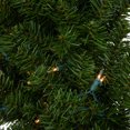 thumbnail image 4 of Northlight Pre-Lit Canadian Pine Artificial Christmas Wreath - 36" - Clear Lights, 4 of 6