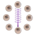 thumbnail image 4 of Kit Templat Shaping Eyebrow Stencil Styles Stencil Eyebrow DIY 8 Grooming Shapes Beauty Tools, 4 of 6