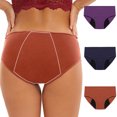 thumbnail image 2 of Erwazi Culottes Hipster Sans Coutures pour Femmes, Culottes Invisibles, Slip Doux Extensible, Bikini, Lot de 3, 2 of 9