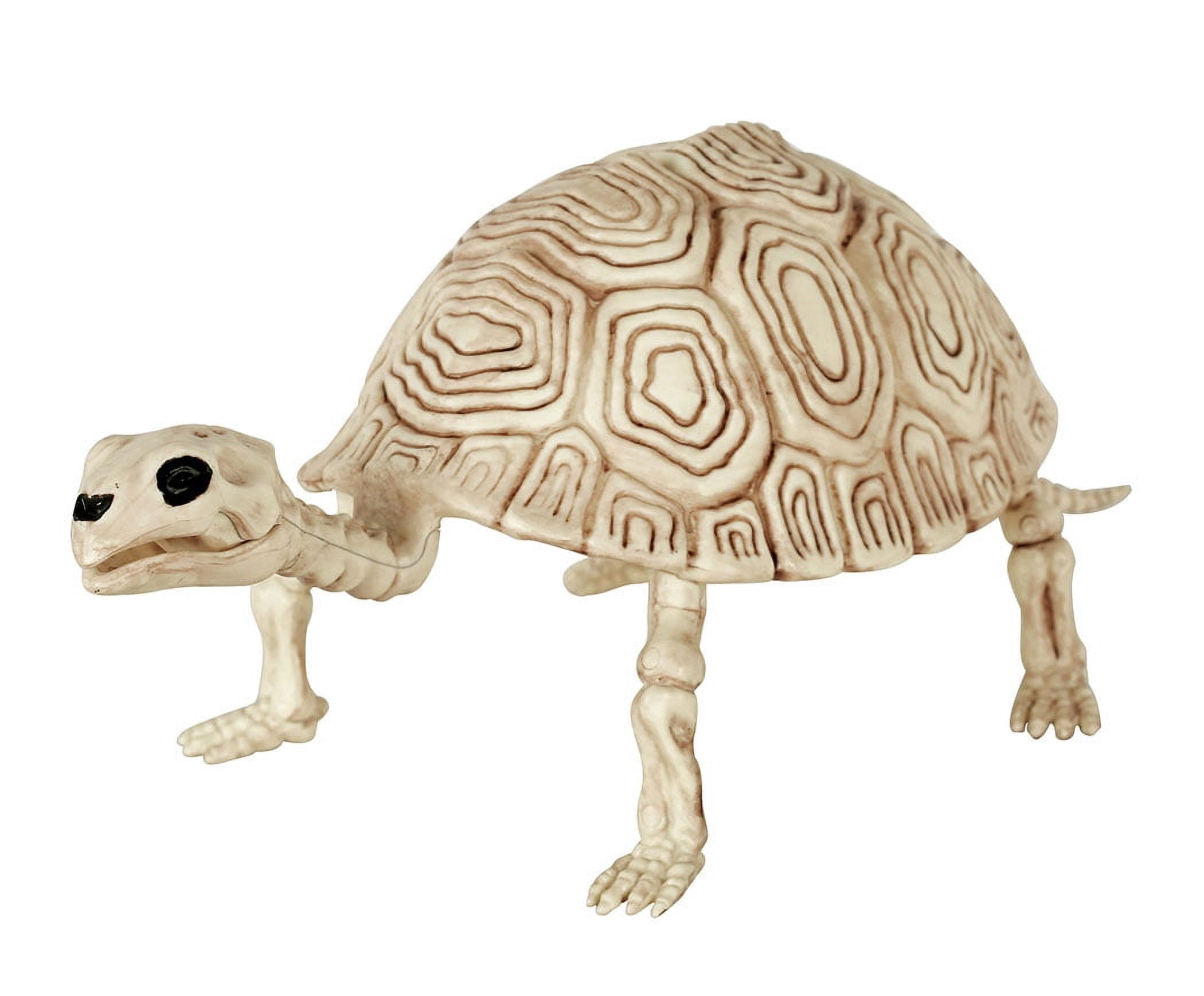 Way To Celebrate Halloween Turtle Skeleton 5.25"H