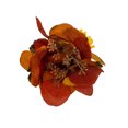 thumbnail image 4 of Pumkpin w/ Mini Pumkpins and Floral Décor, 4 of 5