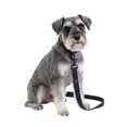 thumbnail image 2 of One Paw, Silicone Dog Leash with Honeycomb Pattern and Padded Handle, 6ft, 2 of 7