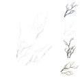 thumbnail image 2 of 3pcs Large Wedding Decoration Branch Simulation Plastic Branch Artificial Dried Tree Branches Artificial Foliage Plant coffee, 2 of 9