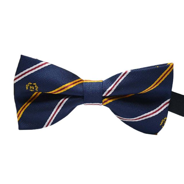 Cravate Formelle à Motif Coloré pour Homme Adulte Homme Réunion d'Affaires Nœud Papillon Mariage Cravate Homme Mariage Nœud Papillon en Fil de Polyester