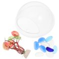 thumbnail image 1 of IFANLANDOR Multi Acrylic Fish Bowls for Betta Fish Wall Mount Living Room 1Set, 1 of 6