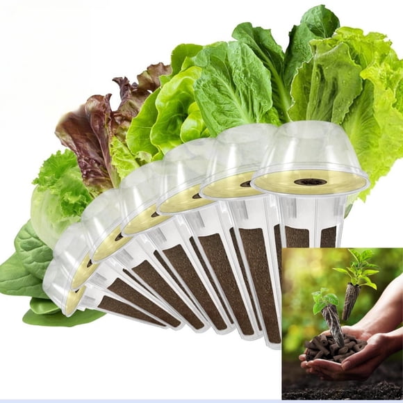 BUTASY Aerogarden Pods Trousse de Salade de Légumes Laitue Épinards Compatible avec Tous les Systèmes Hydroponiques