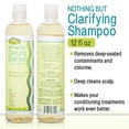 thumbnail image 2 of Nothing But Clarifying Shampoo Sulfate-Free Detox for Natural Hair | Hair Shampoo | Fragrance-Free | Removes Buildup | 12oz - Single, 2 of 5