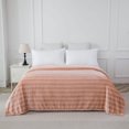 thumbnail image 1 of Mainstays Cationic Plush Blanket, Size: Twin - Double/Queen, 1 of 7
