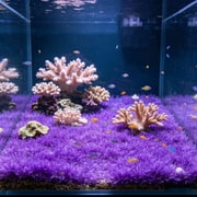 Aquarium Substrate Aquatic Plants Artificial Grass Dense Grass Mats, Green Plants Mats Aquarium Decorations, 23.6x11.8in Plastic Multicolor Fish Tank Decor for Bottom Landscape