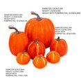 thumbnail image 3 of MesaSe Artificial Assorted Pumpkins Fake Artificial Maple Leaves Halloween 7pcs, 3 of 4