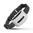 thumbnail image 1 of Training Collar with 3 Training Modes,Rechargeable Waterproof Electric Collar for Dog Shock Collar, 1 of 5