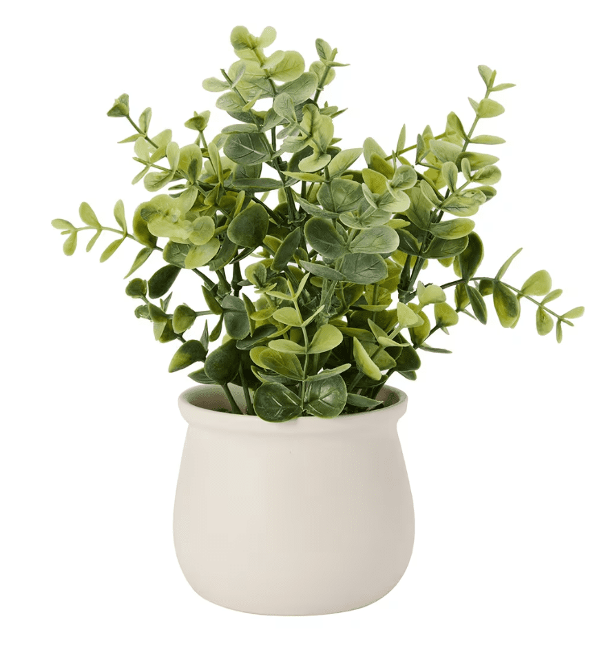 Eucalyptus Artificiel Anko en Pot
