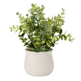 thumbnail image 1 of Anko Artificial Eucalyptus in Pot, 1 of 5