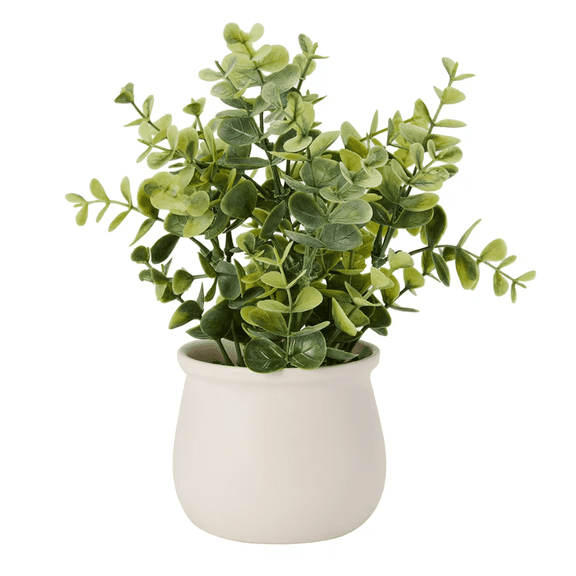 Anko Artificial Eucalyptus in Pot