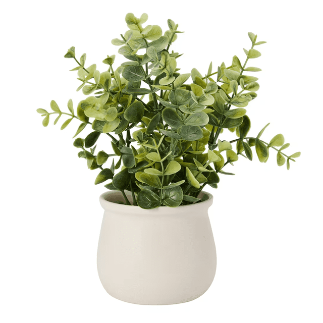 Anko Artificial Eucalyptus in Pot