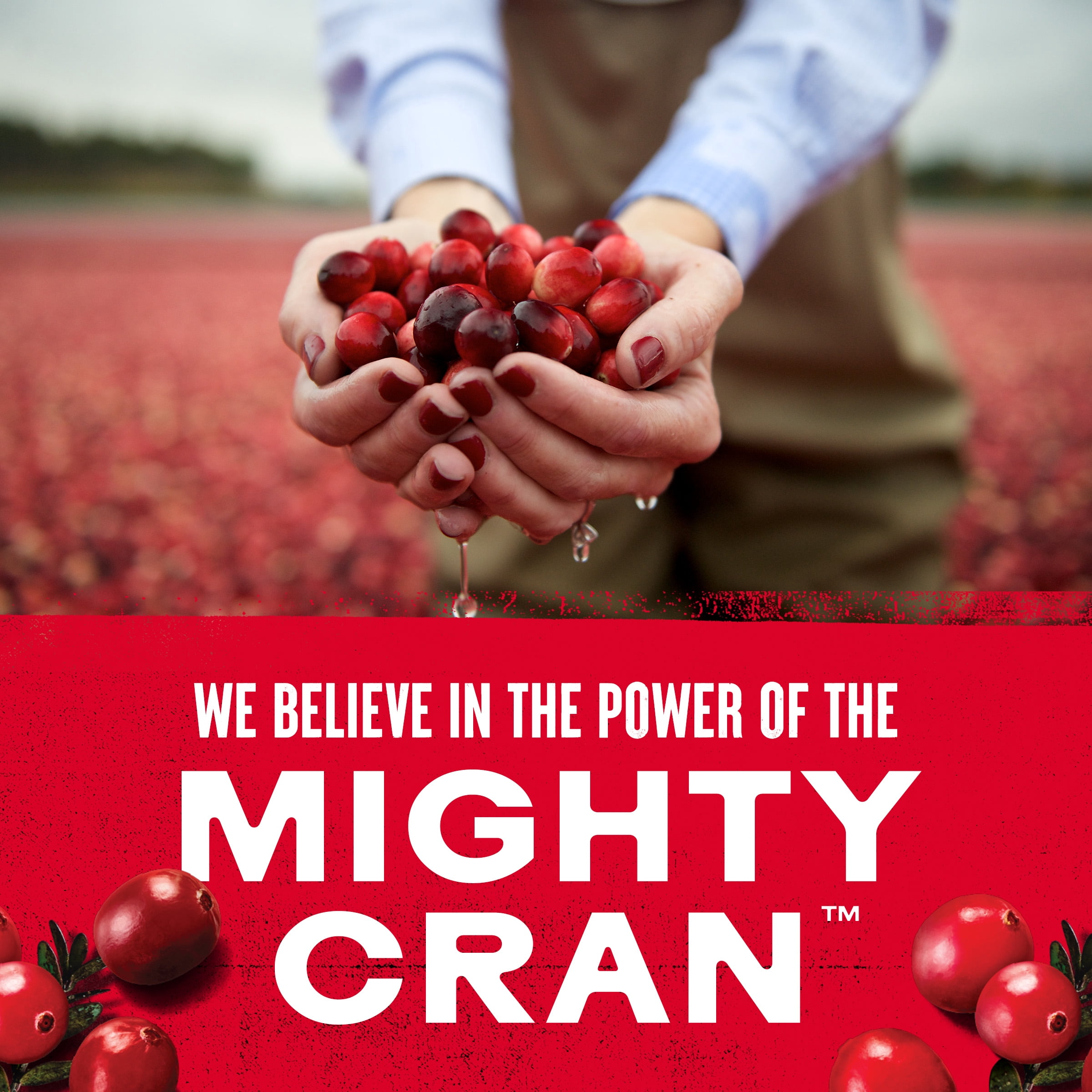 Ocean Spray Sparkling Cranberry 6PK, 340ml Cans, No allergens, Recyclable