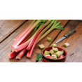 thumbnail image 2 of GSDWIUEW Seeds Rhubarb Victoria 35 Days Garden Heiroom Vegetable for Planting, 2 of 8