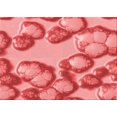thumbnail image 1 of Ahgly Company Tapis d'Intérieur Rectangulaire Transitionnel Lavable à la Machine, Corail Clair Rose, 8 Pieds x 10 Pieds, 1 of 7