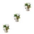 thumbnail image 3 of kurtrusly Artificial Flowers With Vase Add Of Color And Style To Any Room Indoor Pinellia white 3Set, 3 of 6