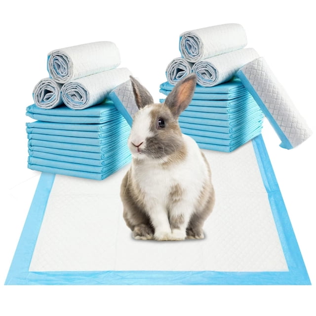 Fesfesfes Absorbent Pee Pad 13*17.7in Disposable Pet Diaper Mat Super Absorbent Leak-Proof Bottom for Cages Litter Box Non-Odor Disposable Pad for Small Pets Daily Use