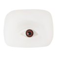 thumbnail image 2 of LEEYNEER Eyebrow Tattoo Fake Skin Realistic 5D Textured Easy to Color Elastic Feel Silicone Artificial Eye Model Stereoscopic Practice Skin Beginner Supply Transparent, 2 of 13