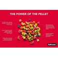 thumbnail image 3 of Zupreem FruitBlend Flavor Food For Very Small Birds, 3 of 3