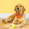 thumbnail image 4 of Dog Triangle Scarf Reflective: Simple Soft Puppy Bib Pet Neckerchief Dog Bandana, 4 of 6