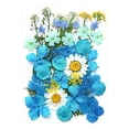 thumbnail image 1 of Fleurs Séchées et Embossées pour Kit de Résine Bougies et Bricolage, 1 of 1