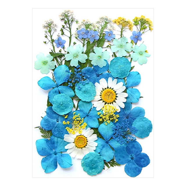 Fleurs Séchées et Embossées pour Kit de Résine Bougies et Bricolage