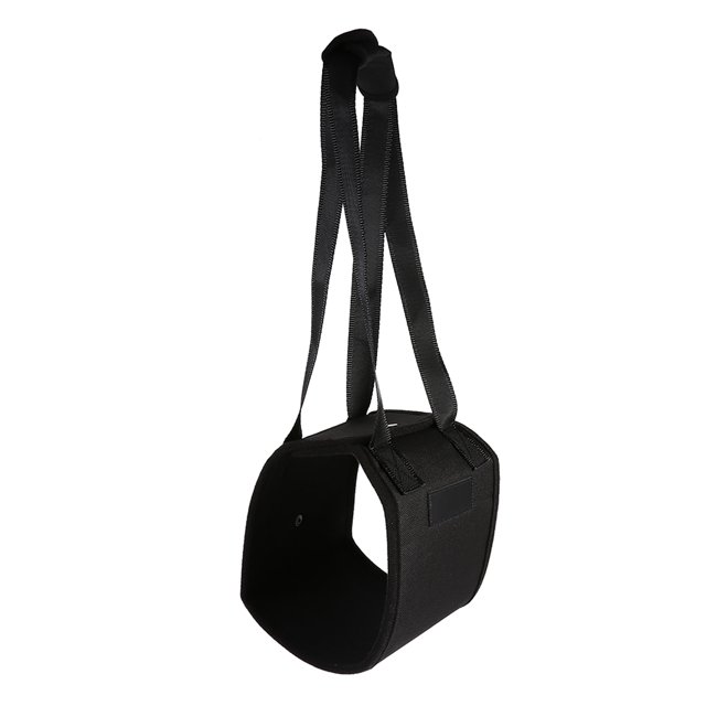Ceinture Auxiliaire pour Chien