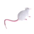 thumbnail image 3 of 1 Pce Figurines Modèle Mouse Rats en Plastique pour Enfants Farces et Attrapes Jouet, 3 of 8