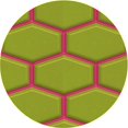 thumbnail image 1 of Ahgly Company Tapis d'Intérieur Ronds Transitionnels Lavables à la Machine, Vert Pistache, 3 Pieds Rond, 1 of 7