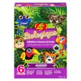 thumbnail image 4 of Jelly Belly Organic Fruit Flavoured Snacks, 4 of 11