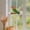 natural rope bird pole Under $5 a4, variant on Vacemry 3Pcs Small Suction Cup Rope Bird Stand, Natural Rope Parrot Standing Pole, Bird Perch for Parakeets Cockatiels Lovebirds Finches, Indoor Window Cage Decor