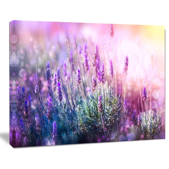 Design Art Growing And Blooming Lavender Floral Photo Canvas Art Print