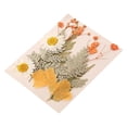thumbnail image 1 of Vaidha Fleurs Séchées et Embossées pour Résine Kit Bougies et Bricolages, 1 of 1