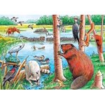 Cobble Hill - L'étang Beaver - 35 Puzzle d'un plateau de pièces
