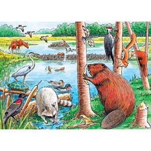 Cobble Hill - The Beaver Pond  - 35 Piece Tray Puzzle