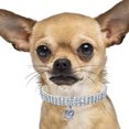 thumbnail image 4 of CBFFDC Wedding Gift For Pets Pet Collar Fine Workmanship Sparkling 3 Layer Necklace for Parties And Special Occasions, 4 of 6