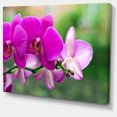 thumbnail image 2 of Belles Orchidées sur Fond Vert - Grande Impression d'Art Floral sur Toile, 2 of 4